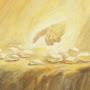 @ElderBrotherofJared-f8i