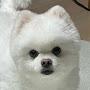 @꾸래밍