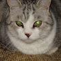 @we_arenot_amused1617