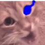 @CatSans