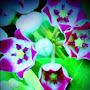 @PRAKASHCHANDRA-t5e