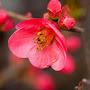 @plumblossom2438