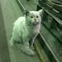 @user-zk4gw9zr7yghrdfv