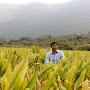 @rameshramesh-lc4ge