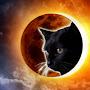 @Lunar_Cat98