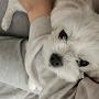 @복숭아요구르트