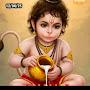 @seemasingh3088