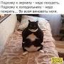@odisseydjeyranov