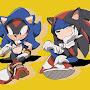 Sonic and Shadow's Junction