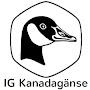 IG Kanadagänse