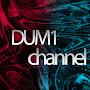 THE DUM1 CHANNEL