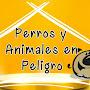 @familiakaositosdeanimalall7806