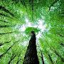 @travelwithnature143