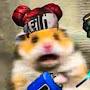 @forsenlyu4734