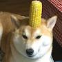 cornman