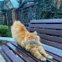 @Любовьспасётмир-к9к