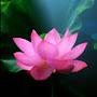 @signof9.s838
