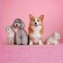 @funnylovelypets1641