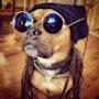 @Antidog-t7z