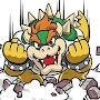 @King_Bowser_Koopa