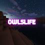 @owlslifeminecraft