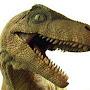 @raptor8428