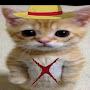 @pleikiller