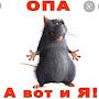@Podpolk99