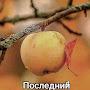 @ШАрка-СорОка
