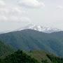 @sahibismayilov.msdixasdql3474