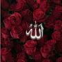 @huseynibrahim5962