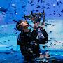 @T1_faker_fan