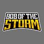 Bob of the Storm
