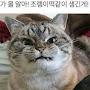 @팔이잡이