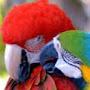 @mariadasgracasvasconcelos3957
