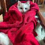 @furryfriends2511