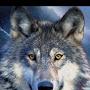 @jassimmhamedabassaljomely1046