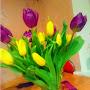 @anyutakaghzvantsyan3890