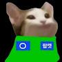 @팝캣-u8v