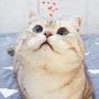 @user-wq1du2mc9i