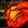 @johnb7956