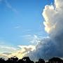 @lookingupwithwonder