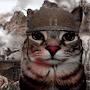 @ThatOneWarCat