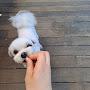 @김수한무두루미와거북