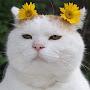 @흐어엉-n8j