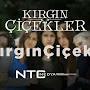 @krgnciceklerkalbim8229
