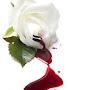 @om_shaheeda