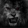 @king_worldof_t_blitz4424