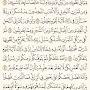 @adeeb1617