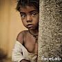 @abrahambel.2388